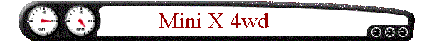 Mini X 4wd